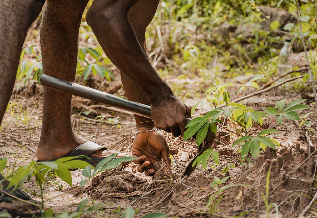 Sustainable Farming Practices: Our Commitment to the Environment